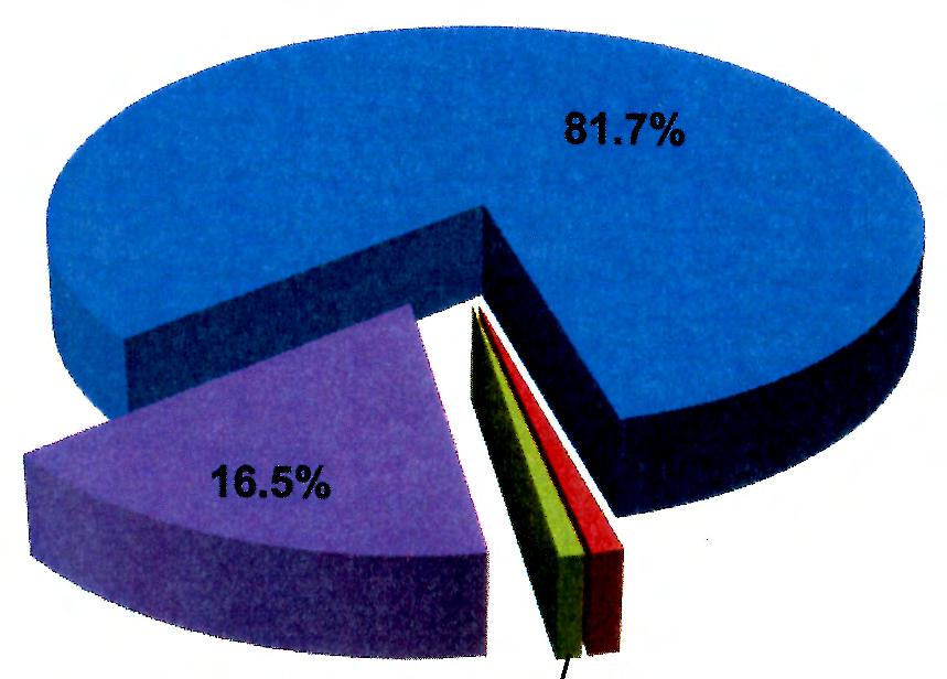 people of the total population. Figure 4.2 shows the total racial composition of the Vaal for the year 2001. Figure 4.2: Racial composition of the Vaal region (2001) African Coloured Indian/ Asian White Source: Calculations based on Census 2001 data (Stats SA, 2001) Table 4.