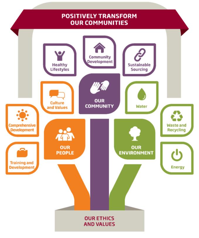 Sustainability Strategy: Structure We are committed to developing the capabilities needed to