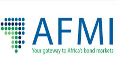AFRICAN FINANCIAL MARKETS INITIATIVE 6 th AFMI Workshop