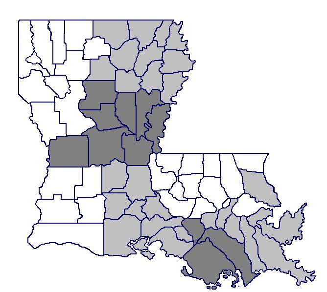 Louisiana Regional Labor Market Areas (RLMA s) RLMA 8 RLMA 7 RLMA 6 RLMA 2 RLMA 5