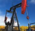 Oil 31 % Natural Gas Business Crude oil and natural gas exploration and production Strategy Focus on natural gas exploration in the Foothills and Deep Basin, and tight gas and coal bed methane (CBM)