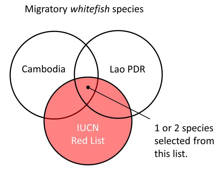 The advantage of implementing the management plan in this way lies in the fact that enabling legislation already exists that allow formally registered fishing communities in Lao (FMCs) and in