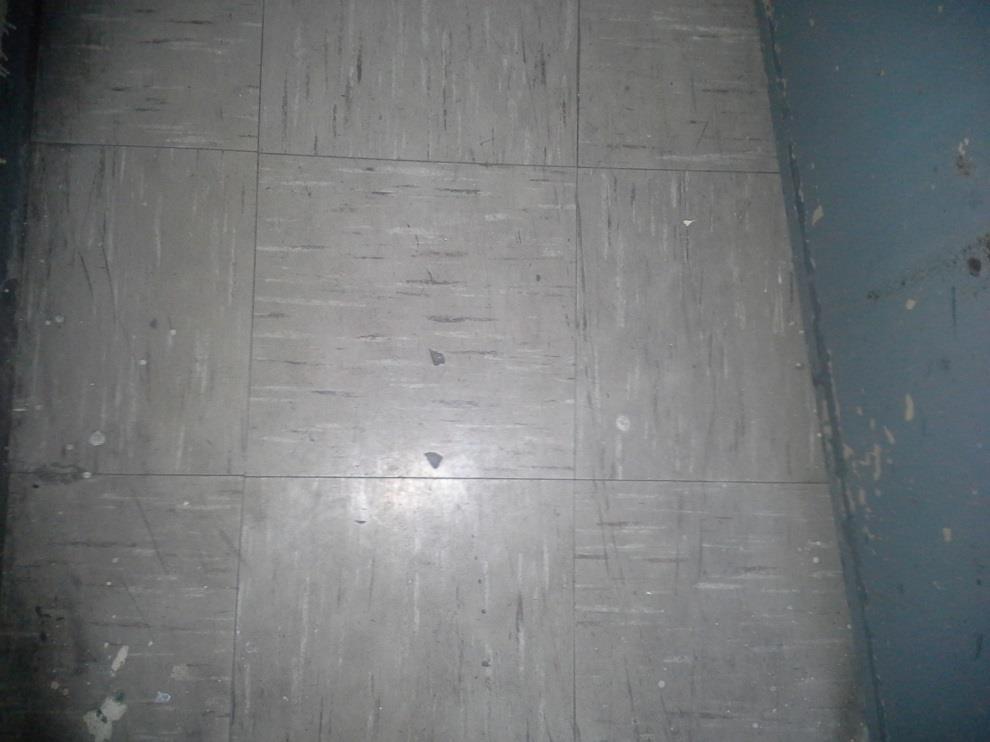 floor tiles (12 x12 -blue) in the North-East Office on the Ground Level of the North Building Vinyl floor