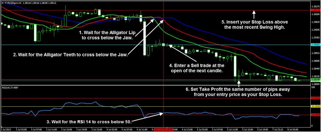 SELL TRADE EXAMPLE Here is another example of a Sell trade using the Forex Trend Secrets system: On the image above you can see an example of a Sell trade as per the rules of entry.