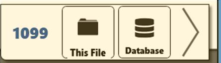 report Review all files in a grid Delete a record Print/PDF 1099-S Sort files Generate report