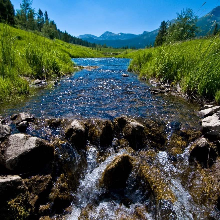 Tailored Strategies for Water Stewardship Protecting water quality, improving water efficiency and collaborating to ensure fair allocation of water Published new Water Policy and Governance