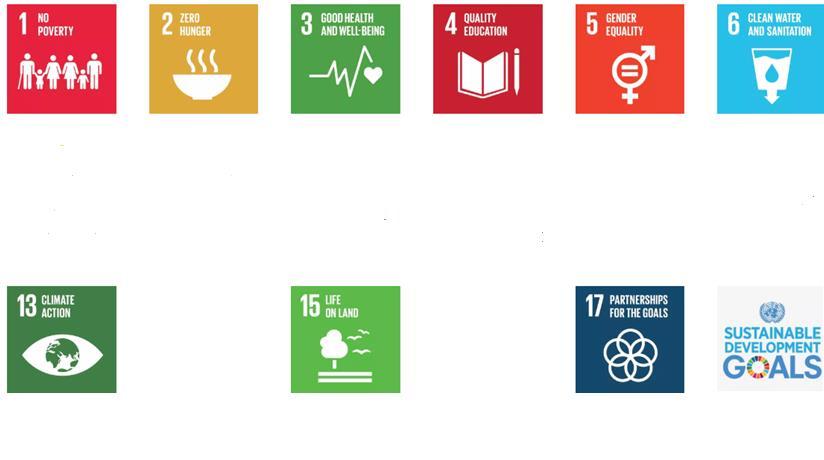 2. SDGs