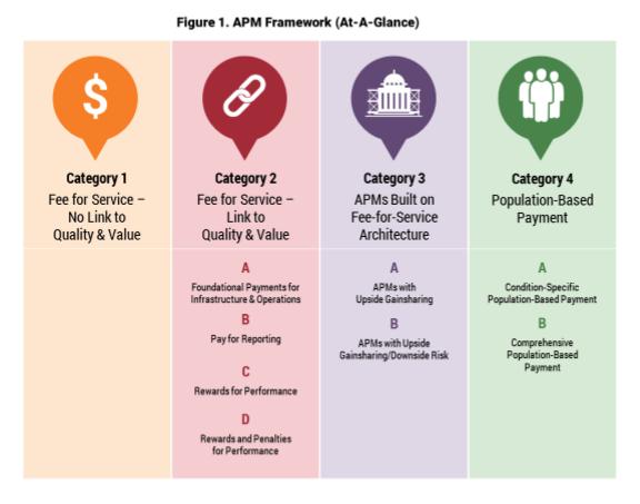 LAN Alternative Payment Model Framework