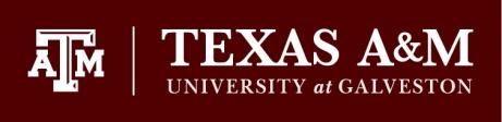 THE TEXAS A&M UNIVERSITY SYSTEM FY 2019 Salary Plans MEMBER DESCRIPTION OF SALARY PLAN AMOUNT Texas A&M University at Galveston Faculty: 3.