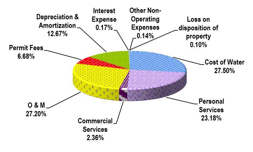 Functional expenses for the