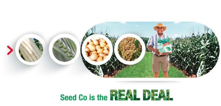 SEED CO LIMITED