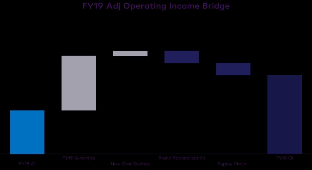 FY19 OPERATING INCOME GROWTH FUELED BY SYNERGIES