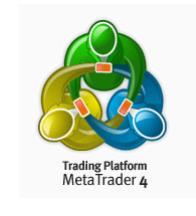 Meta Quotes Language 4 is used to write: Expert Advisors mechanical trading systems which can be used either for trading alerts or for opening/closing positions and placing/modifying/deleting orders
