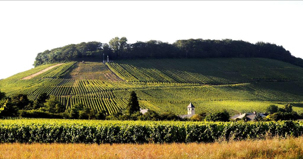 Key sectors Tourism One of the safest cities in the world One of the best country s quality of living 3 UNESCO World Heritage Sites Moselle wines