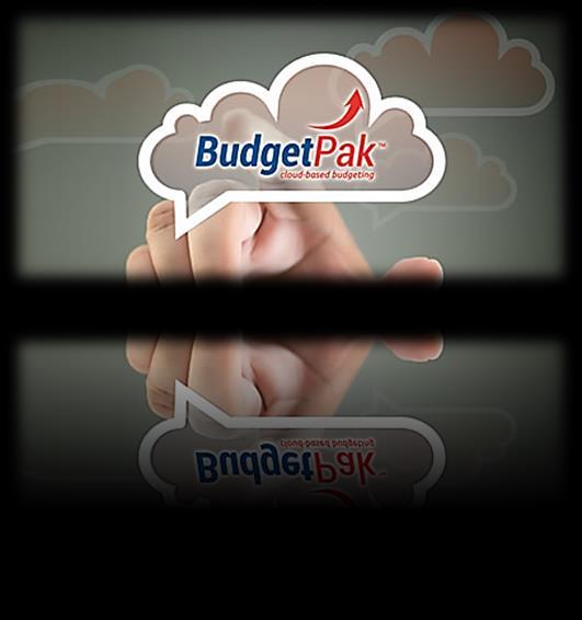 BudgetPak provides consolidation and