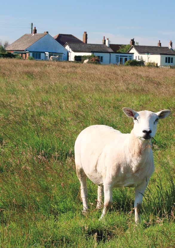 FARMERS MAKE ROOM FOR THE LET PROPERTY CHANGES Many farmers are landlords, whether it be on a tenanted farm with various let cottages or following investment after very productive years.