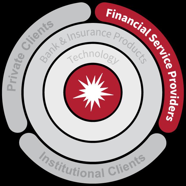Financial Service Providers