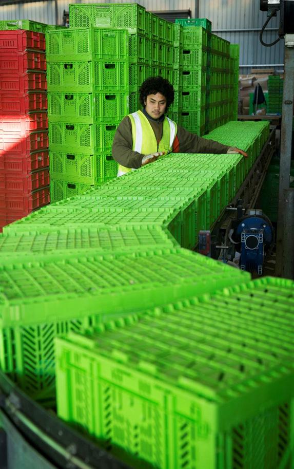 ESTABLISHING A LEADING POSITION IN CRATE POOLING A partnership with Woolworths in Australia and the acquisition of the Fruit Case Company (FCC) in New Zealand will provide Pact with a leading