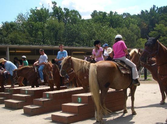 participate in any of the other daytime activities. The list of possibilities is practically endless. Certainly a highlight of every stay at Rocking Horse is horseback riding.