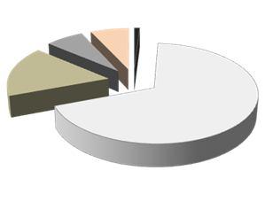 2%) Gold 13% Bronze 30% Minimum Coverage 6% Silver 25% Minumum Coverage Silver Bronze Platinum Gold Subsidy Eligible 110,543 (9.