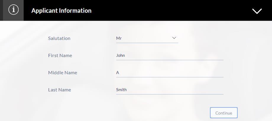 2.5 Applicant Information: In this section, enter information like salutation, first name, middle name and last name.