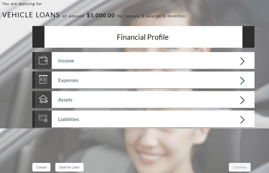 2.13 Financial Profile Enter the appropriate details in the relevant sections. 2.13.1 Income Information In this section enter details of all income that you want to be considered to be the basis on which you will repay the loan.