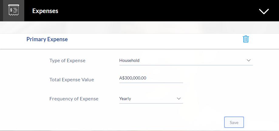 2.13.2 Expense Information In this section enter details of all expenses you incur on a regular basis. You can add multiple expense records up to a defined limit.