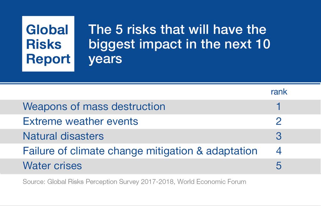 The Global Risks