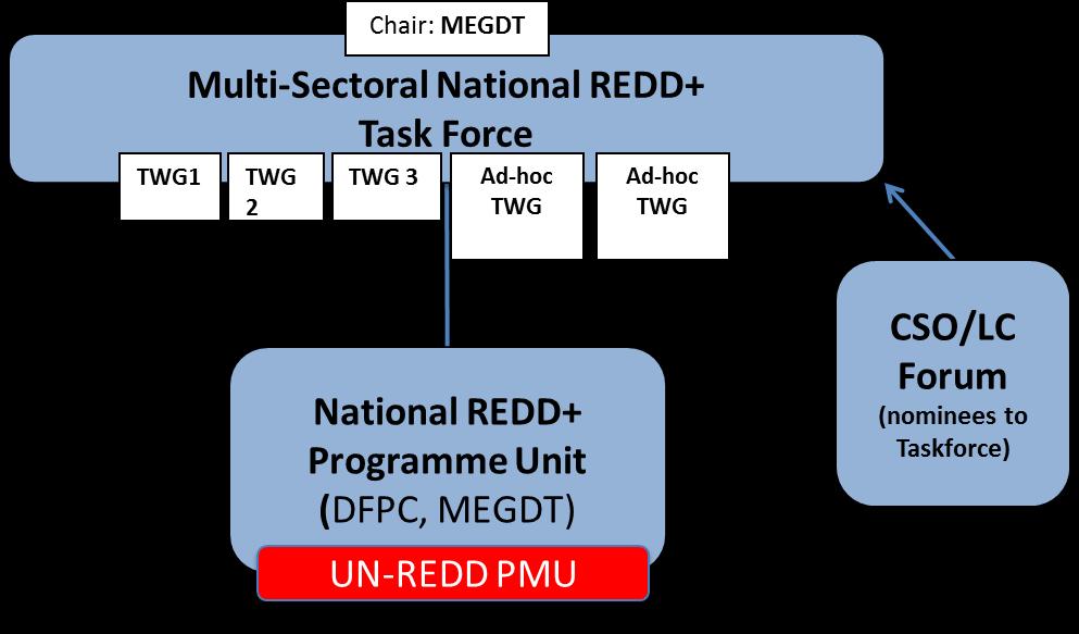 The PEB through the National REDD+ Programme Unit will report to the Multi-Sectoral National REDD+ Taskforce.