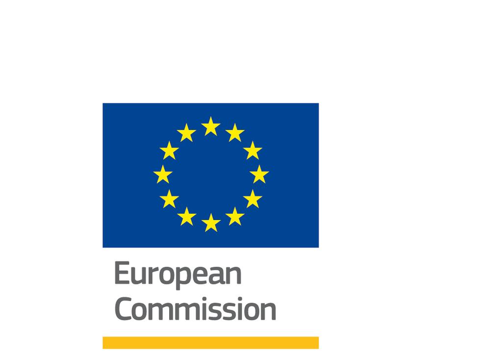 Summary Gender Equality 01 Gender Pay Gap Survey requested by the European Commission,
