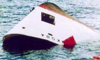 MARITIME TRANSPORT MV Bukoba that capsized in 1996 killing about 800 people (a) Rehab of wastewater treatment facilities for Point Sources Pollution Control and prevention (b) survey and mapping of