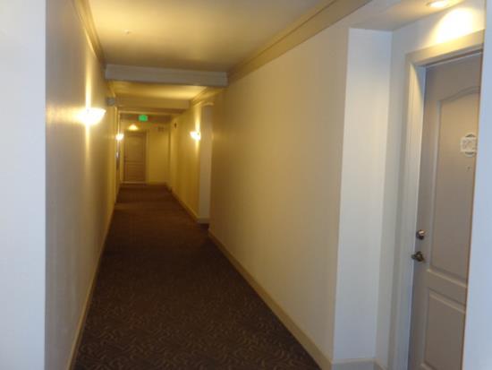 Component Listing Included Components 03500-100 - Building Painting: Interior Useful Life 10 Interior Hallways Quantity 1 Unit of Measure Lump Sum Cost /LS $10,400 100.