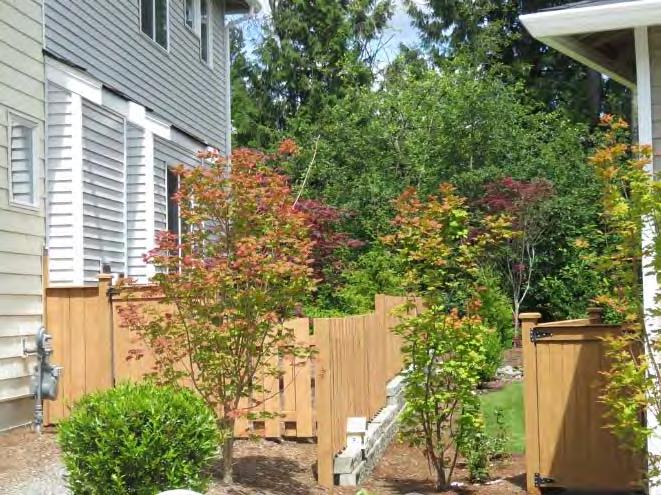 The fencing should have a lifespan of 20 years if it is maintained by paint and spot replacement.