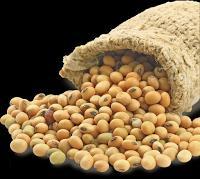 SOYABEAN TRADING STRATEGY Support at 2900 and Resistance at
