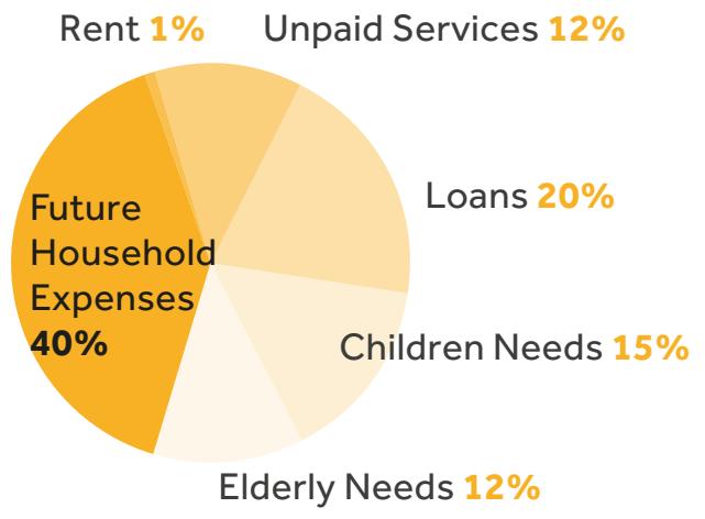 FUTURE HOUSEHOLD EXPENSES ACCOUNT FOR LARGEST PROPORTION OF CI