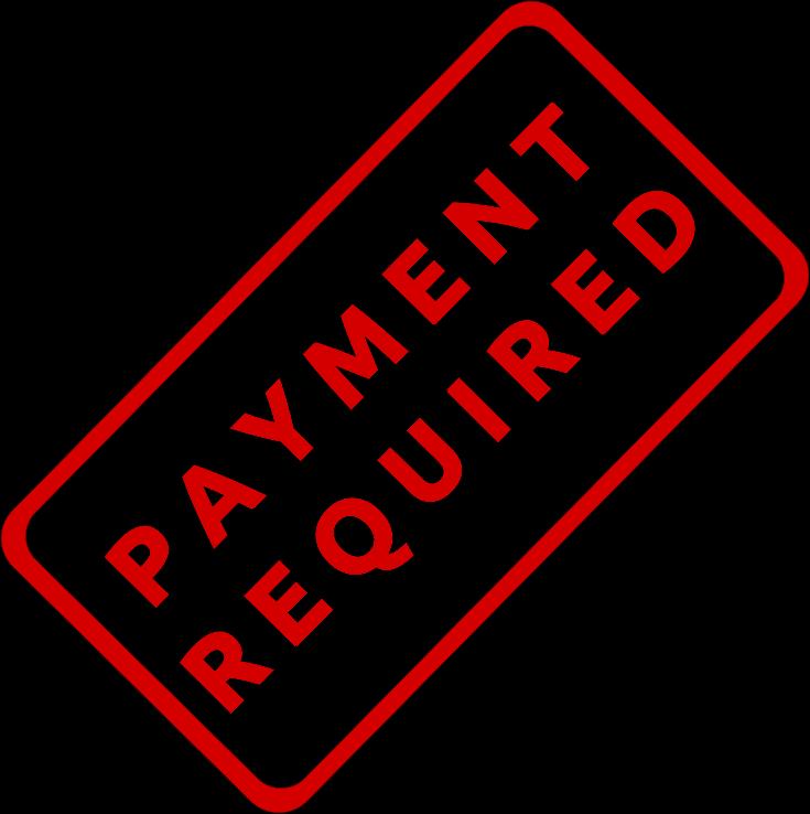Processing the Payment Pay