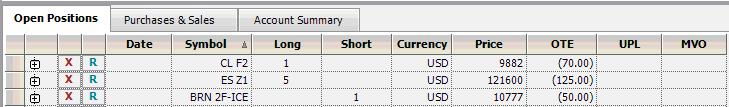 Reports pane: open positions This window displays the Open Trade Equity, Unrealized Profit/Loss (UPL), and Market Value of Options