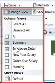shows columns for entering detailed salary increase data for the next fiscal year Outer Year Salary shows columns for entering high-level salary increase data for the next 2-4 fiscal years Funding
