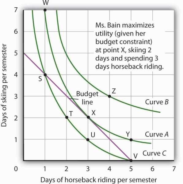 Combining Janet Bain s budget line and indifference curves from Figure 7.9 "The Budget Line" and Figure 7.