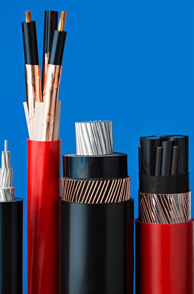 Cables Over expected increase in energy consumption by 2030 Chemicals, and speciality plastics, are the key element to the development of modern and advanced cables to meet the increasingly higher