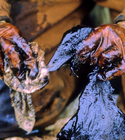 Case #1 Exxon: Should have known The Scenario: In the case of the Exxon Valdez, the court ruled that although there was no indication that Captain Hazelwood was drinking while in treatment for his