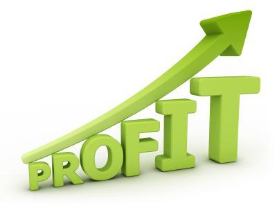 Net Profit March 13 ` 2004 crore March 12 ` 1313 crore