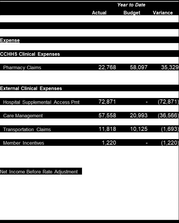 CountyCare Income Statement for the Nine