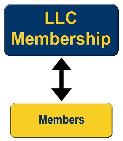 The Players In An LLC LLC s are made up of members who act in similar capacity to shareholders in a Corporation.