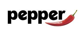 Income and Expenditure (I&E) Pepper Finance Corporation (Ireland) DAC, trading as