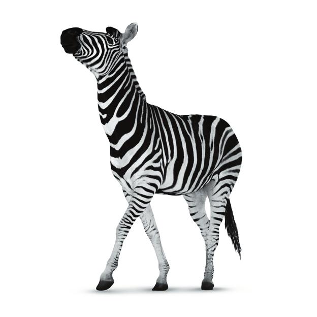 Investec Global Strategy Fund