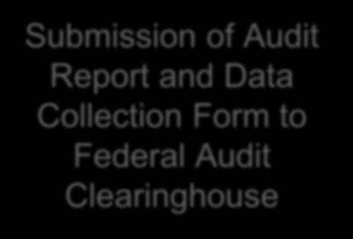 Frequency and Timing 2 CFR 200.504 2 CFR 200.512(a) Audits are to be performed annually.