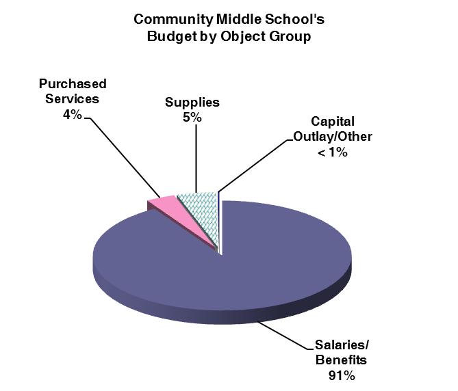 MIDDLE SCHOOL BUDGET BY ACTIVITY Direct Instruction: At Community Middle School, direct instruction expenses include teachers, para-educators, purchased services, supplies, and other educational