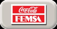 FEMSA Overview 50.
