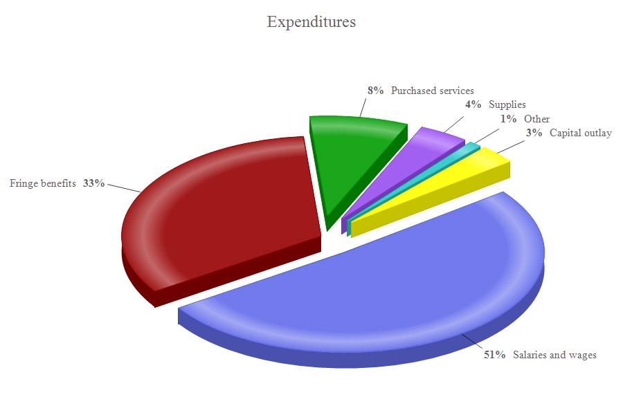 Management's Discussion and Analysis As the graph below illustrates, the largest portions of General Fund expenditures are for salaries and fringe benefits.